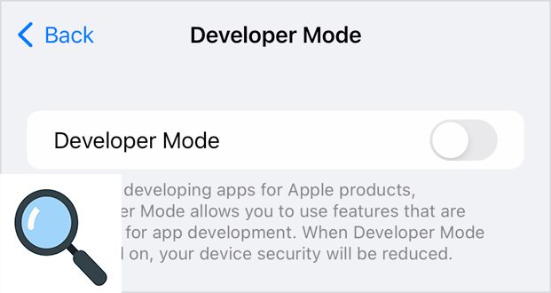 ios developer mode setting